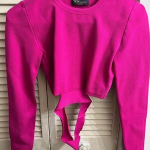 Pink Aritizia Long Sleeve Crop Top